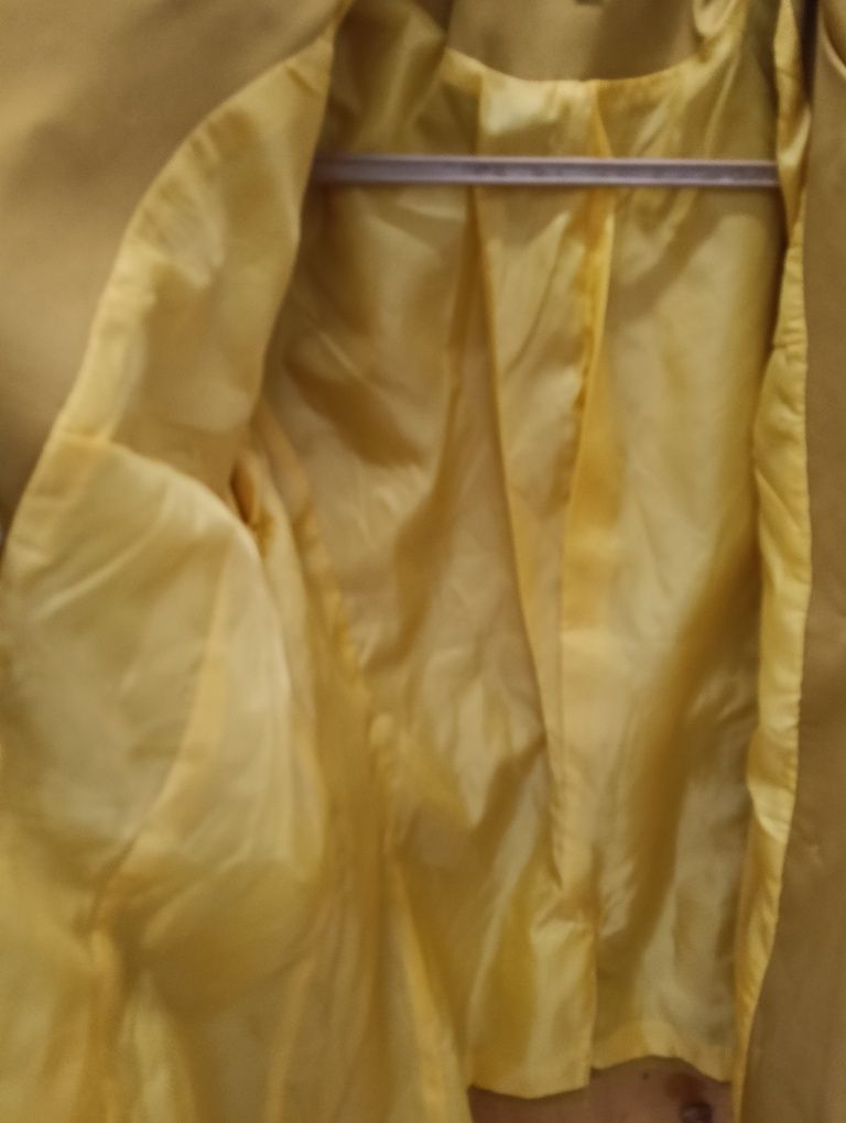 Gabardine Giolli Fashion mostarda