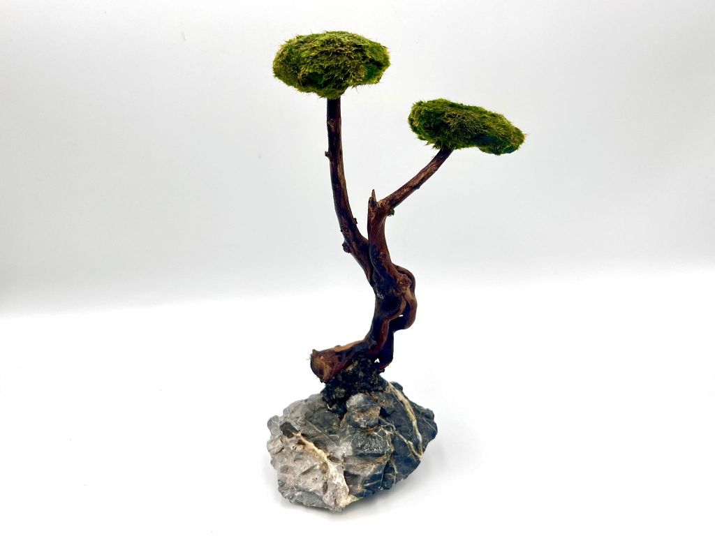 Piękna Aranżacja do Akwarium Drzewko Bonsai