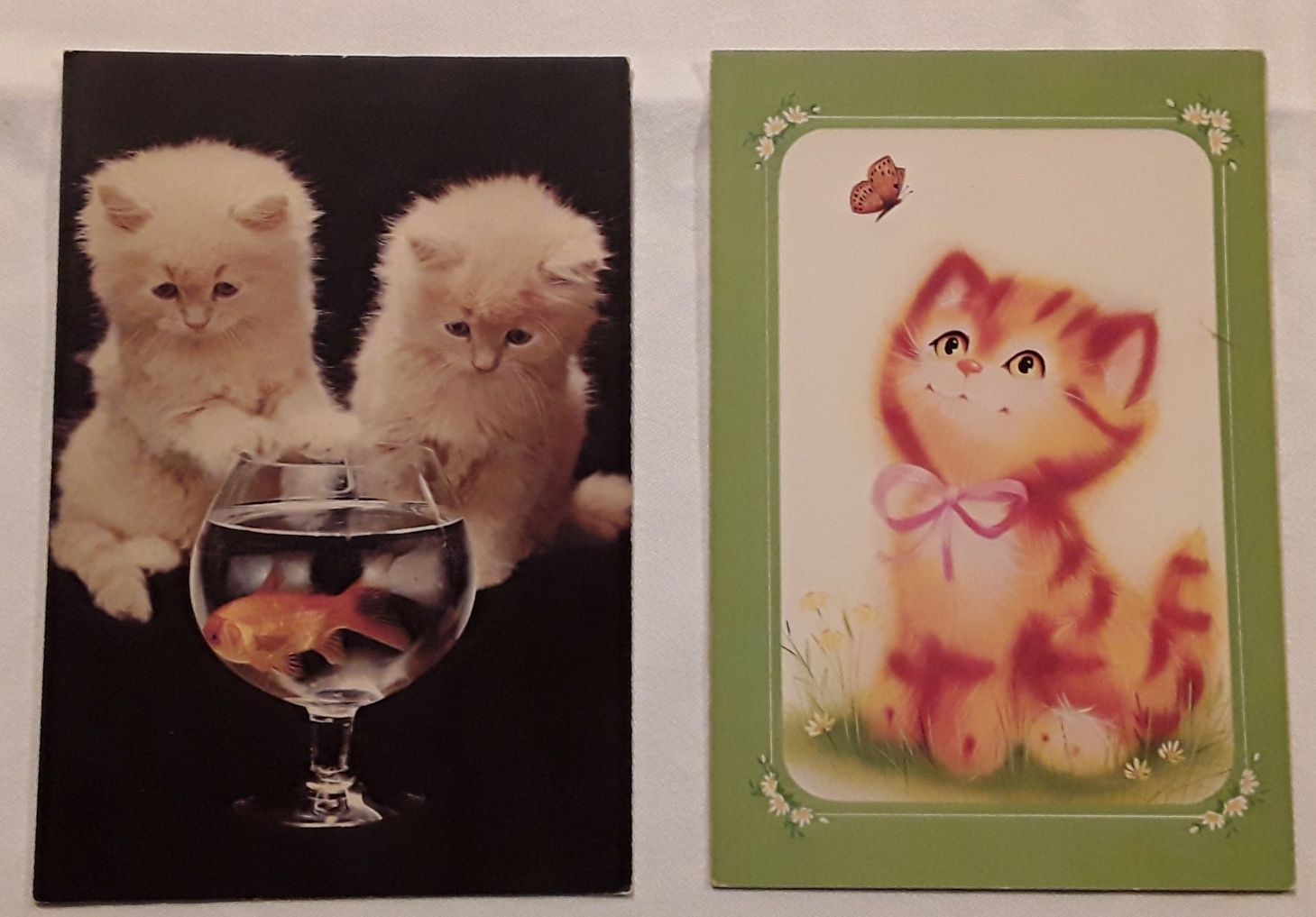 Conjunto de 4 postais de gatos, anos 80