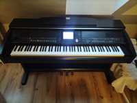 Pianino elektroniczne Yamaha Clavinova cvp503