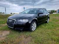 Audi A3 8P 2007 1,9 TDI 105 KM  5-Drzwi Alu 16 Klima Grz. fotele Z De