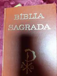 Biblia sagrada castanha