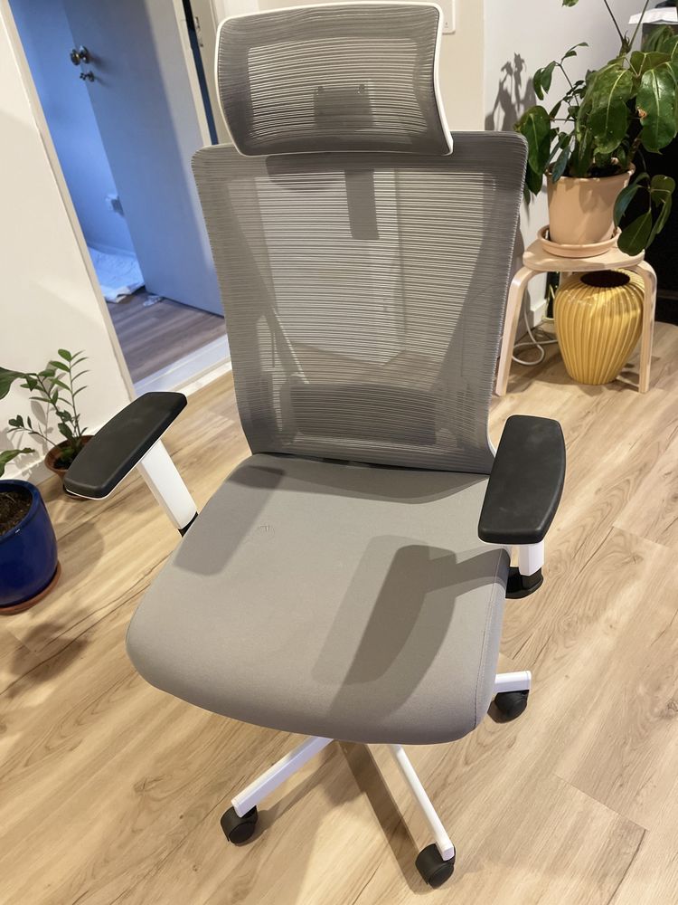 Cadeira ergonomica - poucos meses de uso