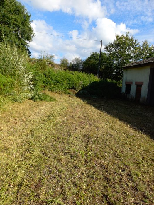 Limpeza de terrenos