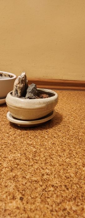 Doniczki do Bonsai