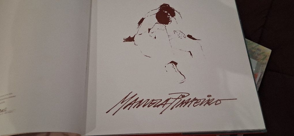Livro pintura Manuela Pinheiro