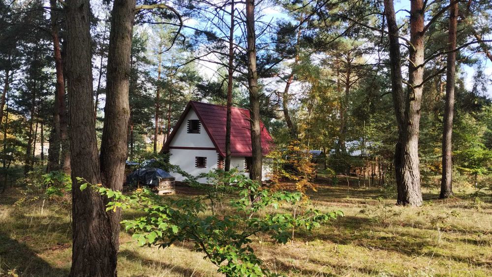 Domek letniskowy całoroczny.