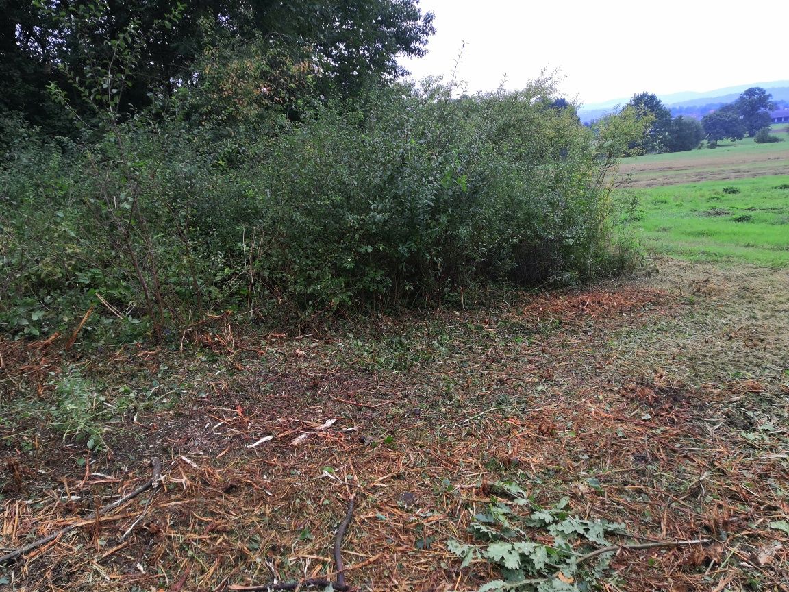 Usługi Koszenia traw i nieużytków,mulczowanie karczowanie
