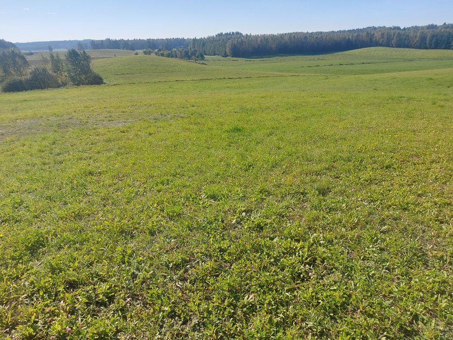 Działka rolna Porbady