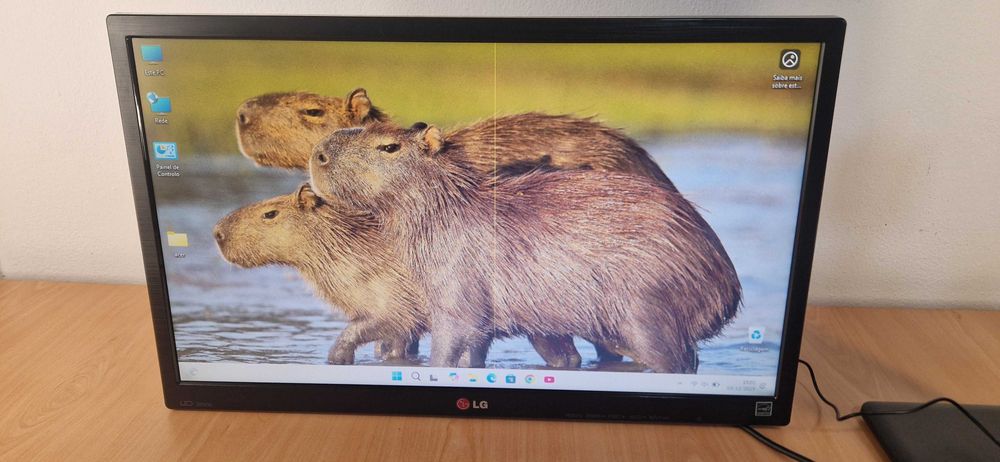 Monitor LG 22 polegadas