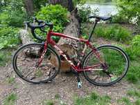 Rower szosowy gravelowy FUJI Sportif 1.5 carbon widelec