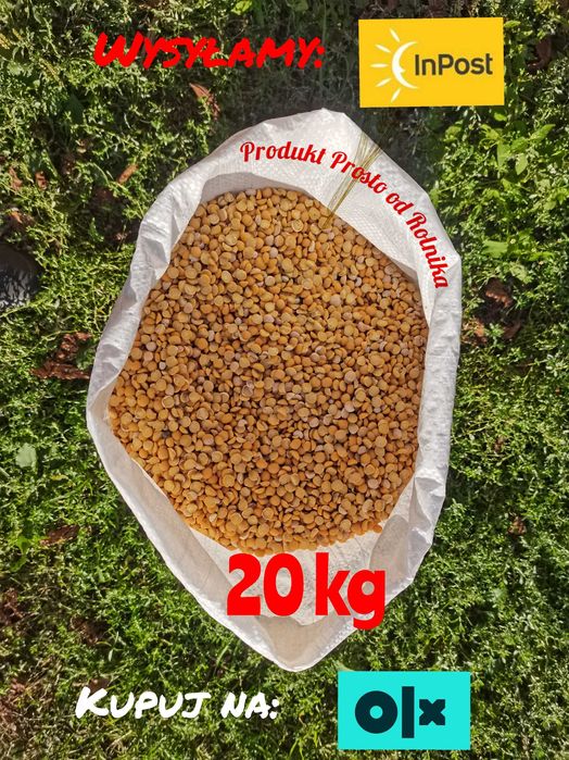 Groch połówki opakowanie 20kg wysyłka natychmiast Inpost