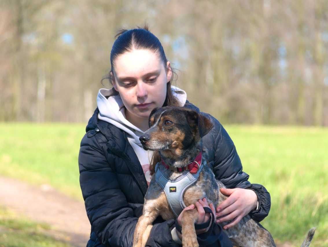 Kosmo - kosmicznie fajny psiak szuka swego miejsca na Ziemi!