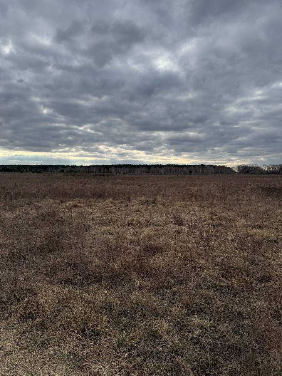 Земельна ділянка в с. Количівка