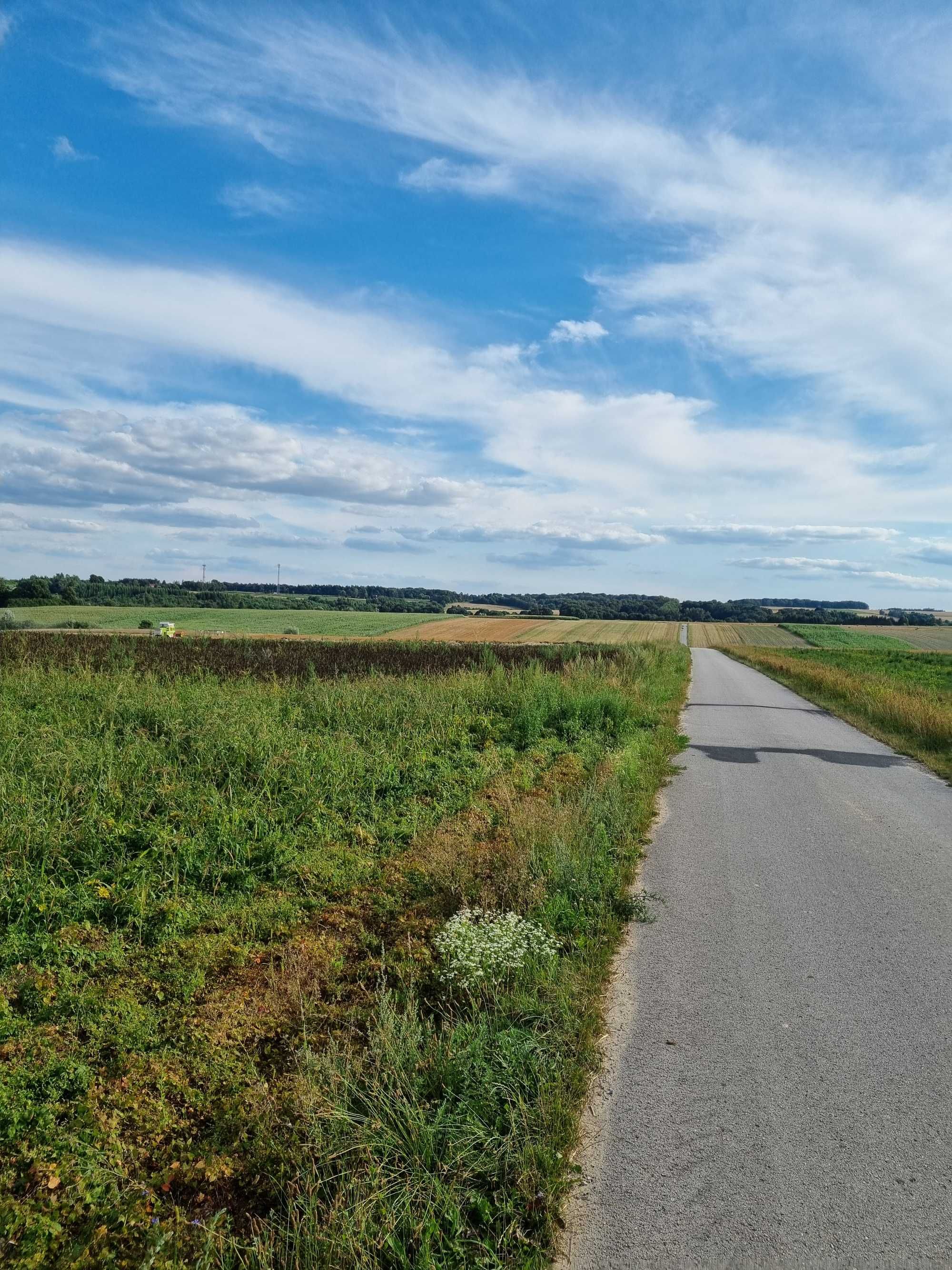 Sprzedam Działkę w Książ Wielki