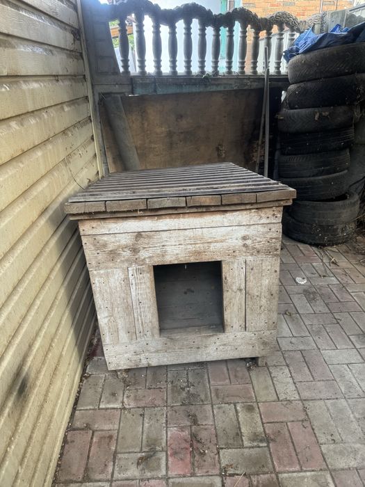 Буда  для великого собаки.