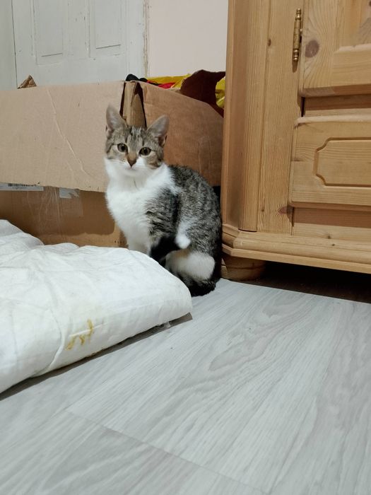 Czekam na dom - Bunia