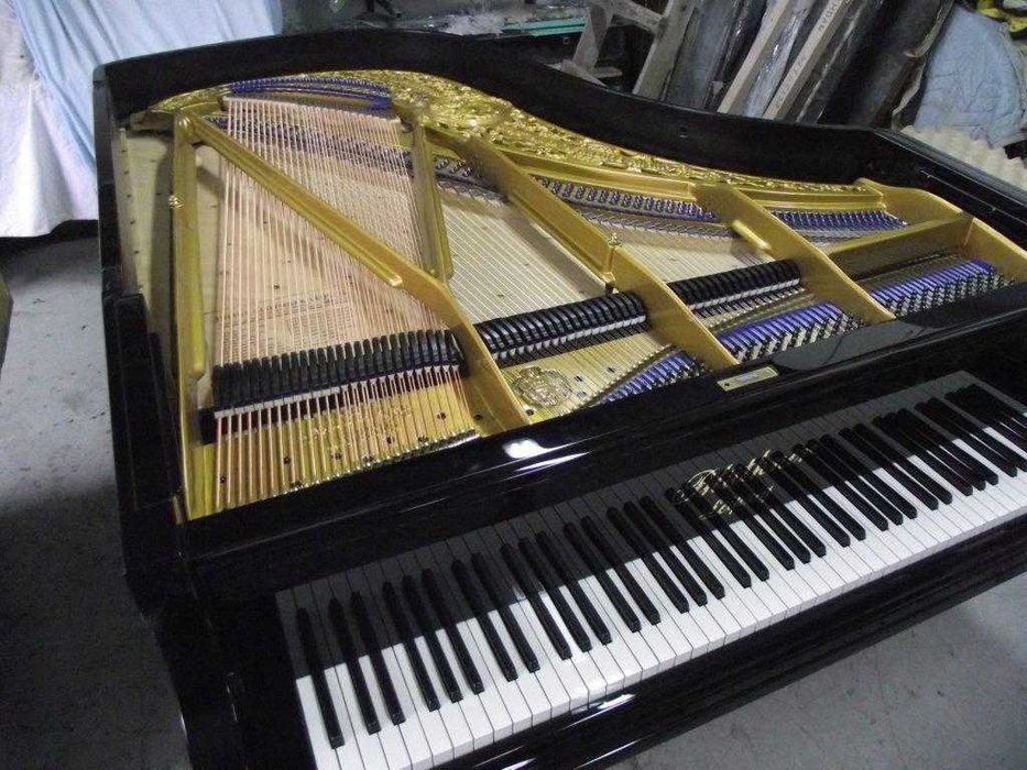 Fortepian firmy BLUTHNER piękna Wersja Jubileuszowa z 1900r Nr 54787