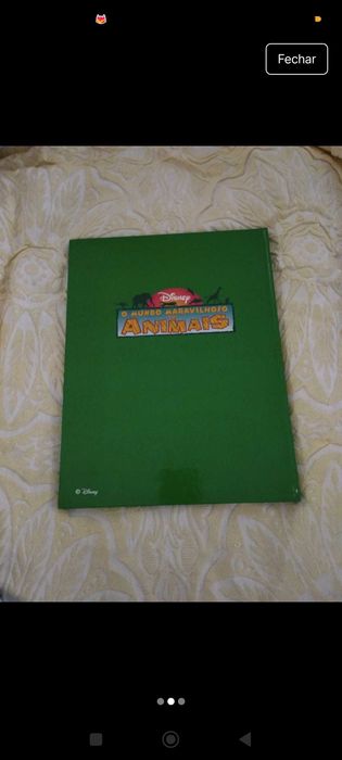 O Mundo Maravilhoso Os Ursos