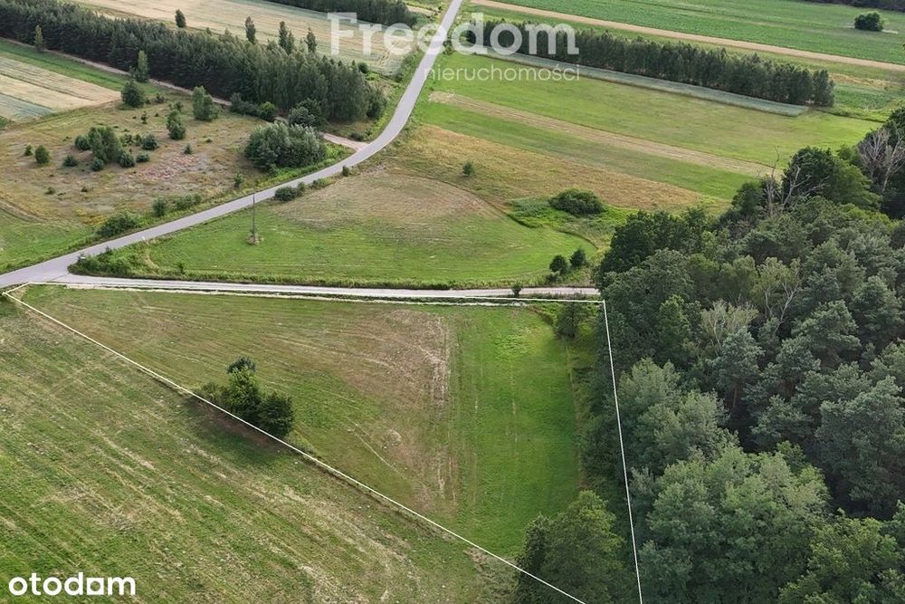 Duża działka przy lesie 25 minut od Garwolina