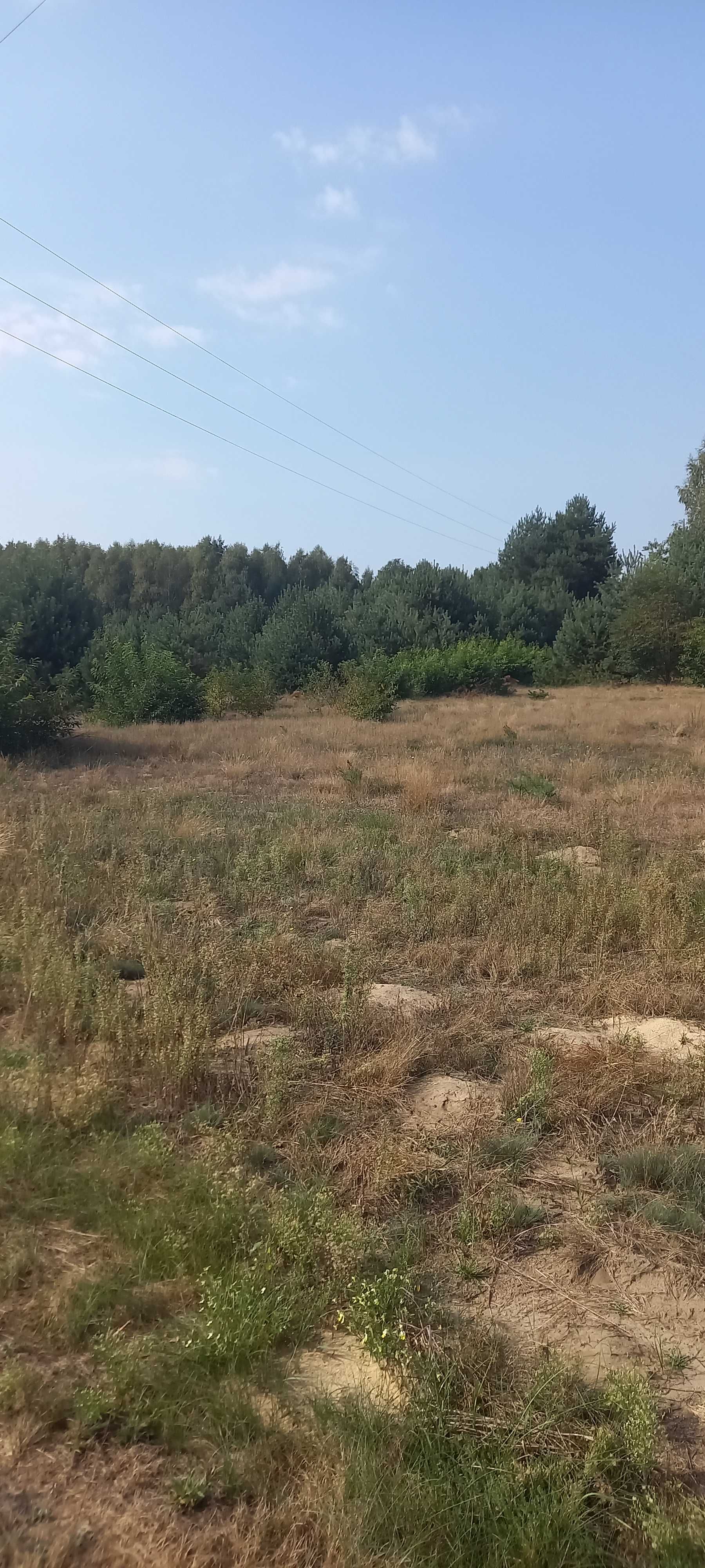 Sprzedam działkę Łysobyki 1000m.