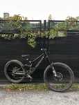 Specialized demo expert