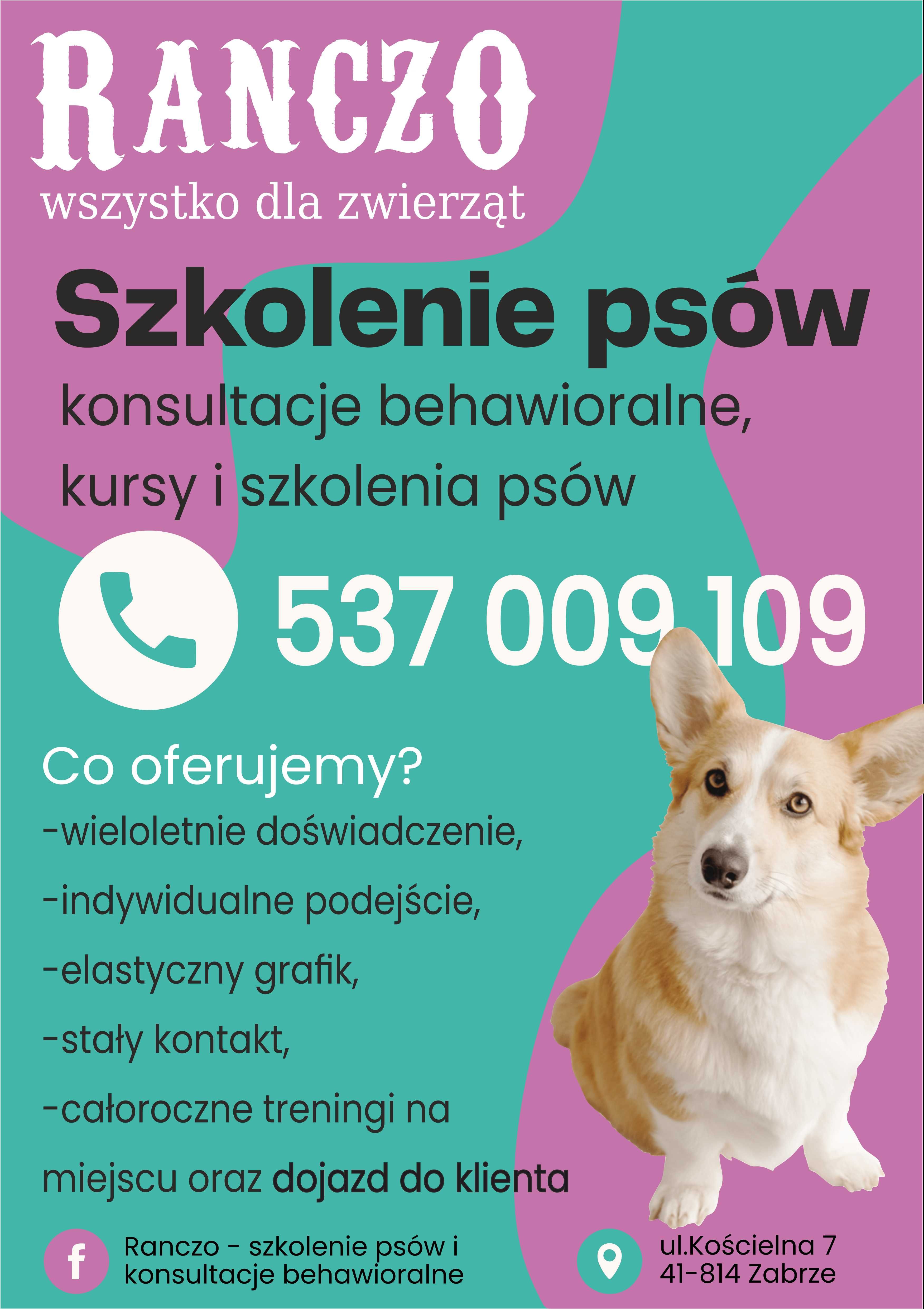 Behawiorysta, zoopsycholog, trener psów