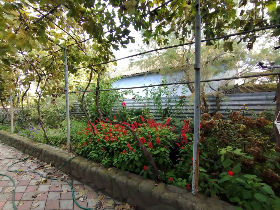 Продается Дом в Безопасном месте недалеко от речки