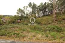 Terreno Venda Agilde Celorico de Basto