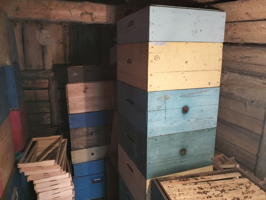 Продам улья дадан Рута