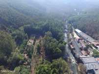 Terreno em Pinheiro da Bemposta, Travanca e Palmaz de 20500,00 m2