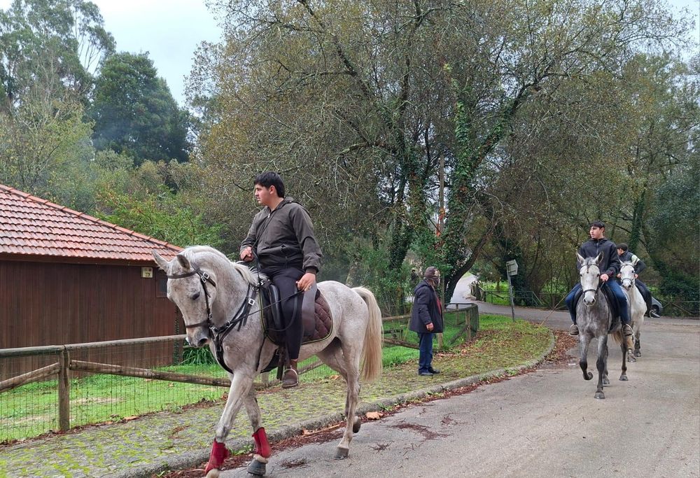 Vendo égua  montada