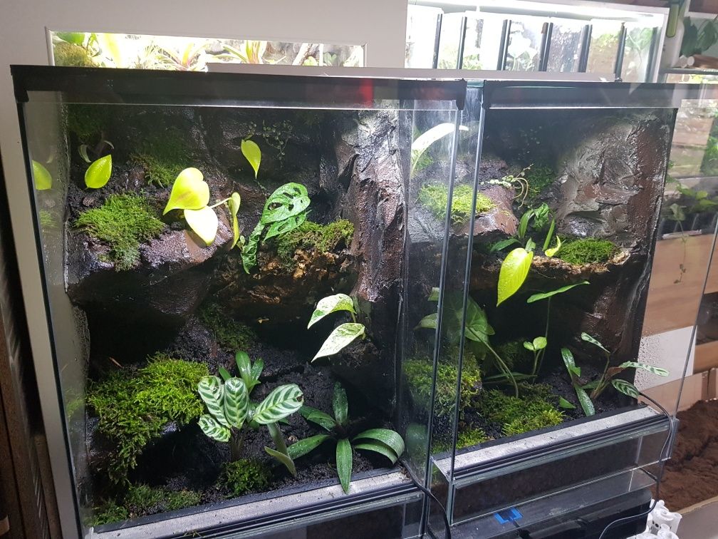 Terrarium tropikalne aktywne biologiczne z wodospadem