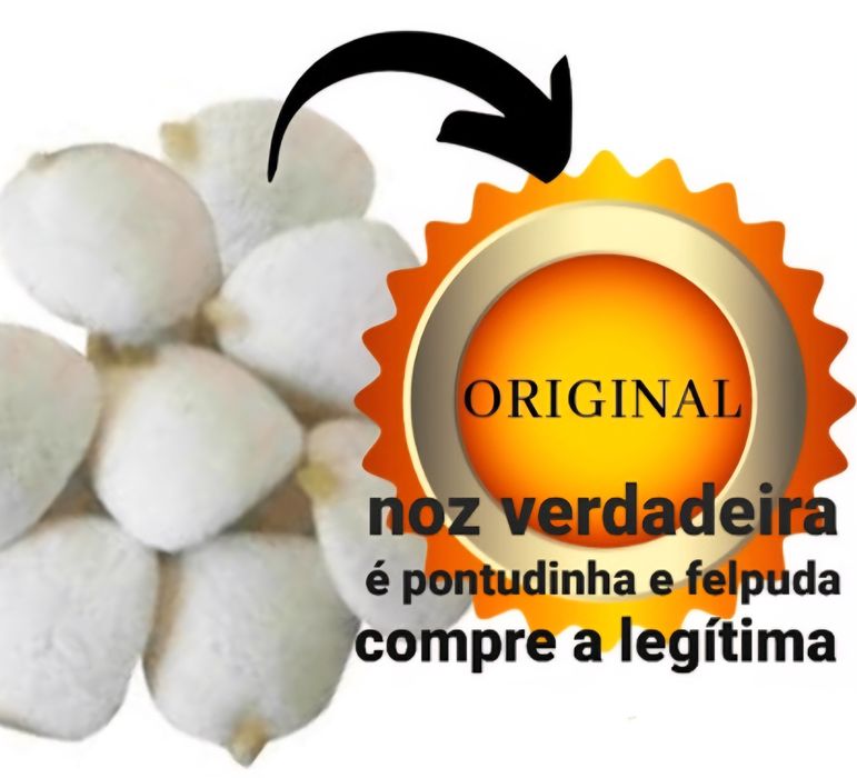 Emagrecimento Noz da Índia