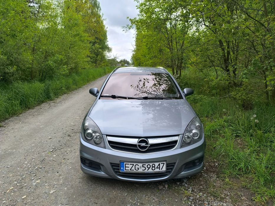 Opel Signum Opel Signum 1.9 CDTI 2008 – zadbany, po dużym serwisie!