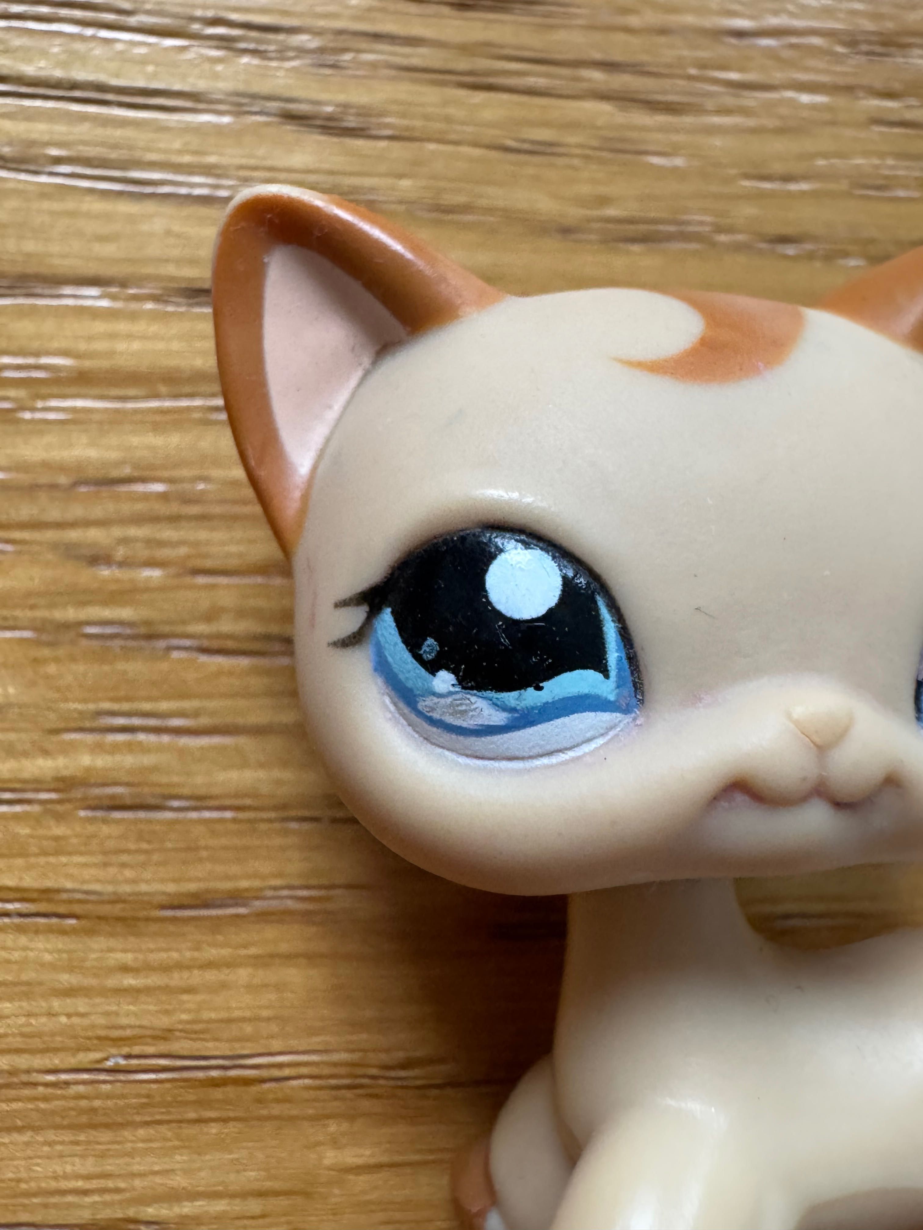 lps shorthair 1024 littlest pet shop