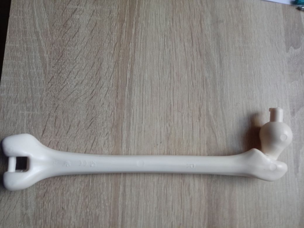 Prawa kość udowa kostek szkielet ciało człowieka