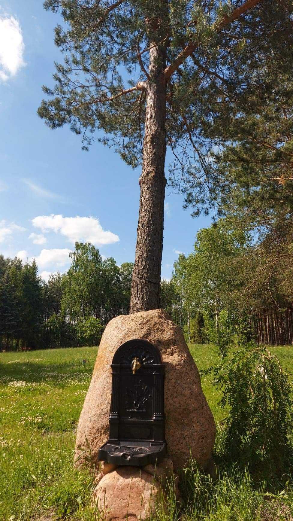 zdrój fontanna wodnik hydrant Gartenbrunnen Gusseisen+ kranik