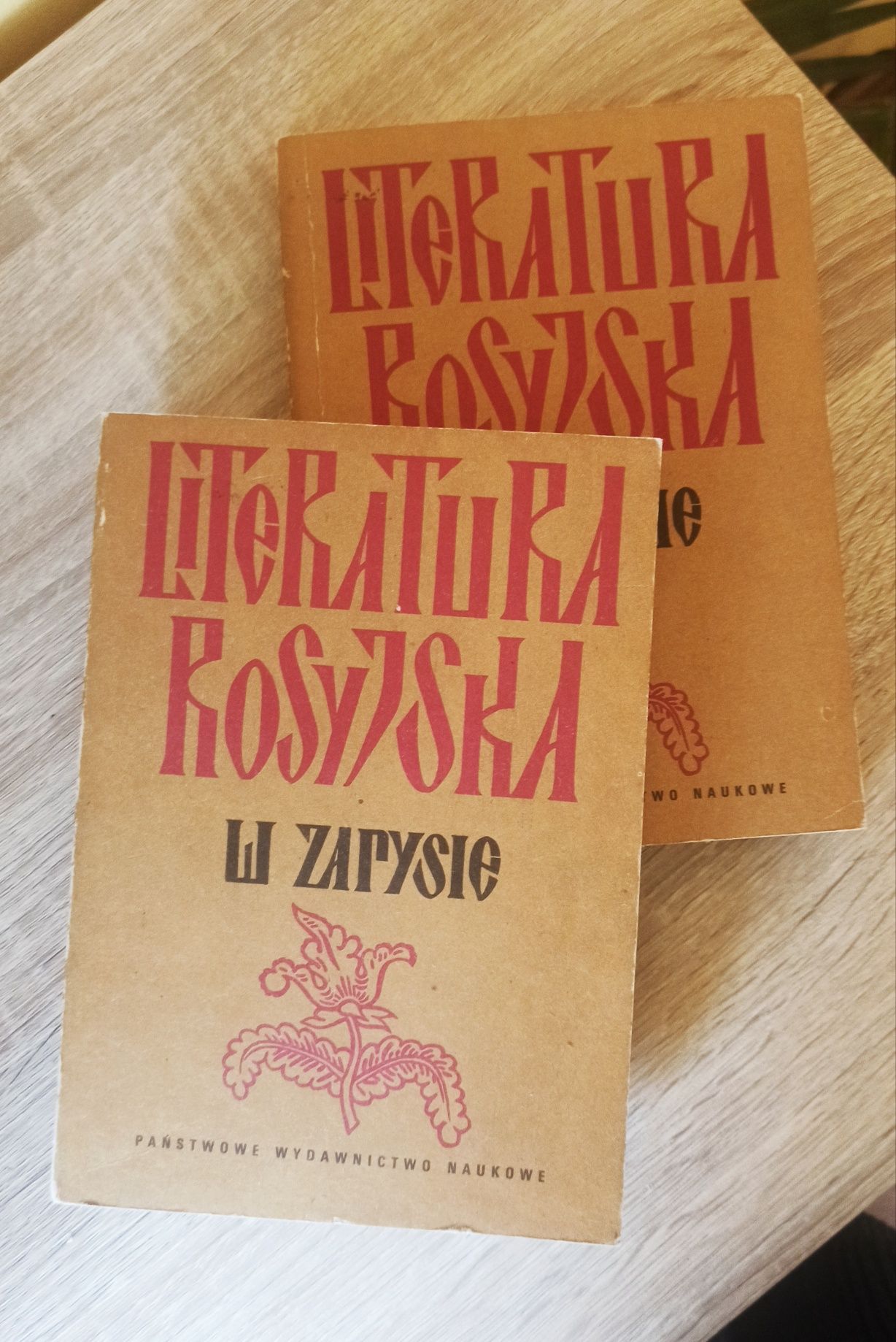Literatura rosyjska w zarysie dwa tomy