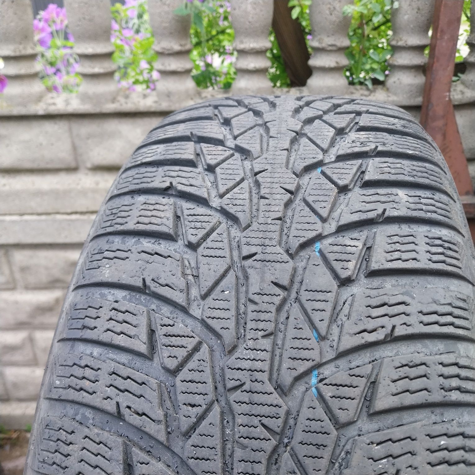 Opony Zimowe  Nokian WR D4  215/55R17 98H XL