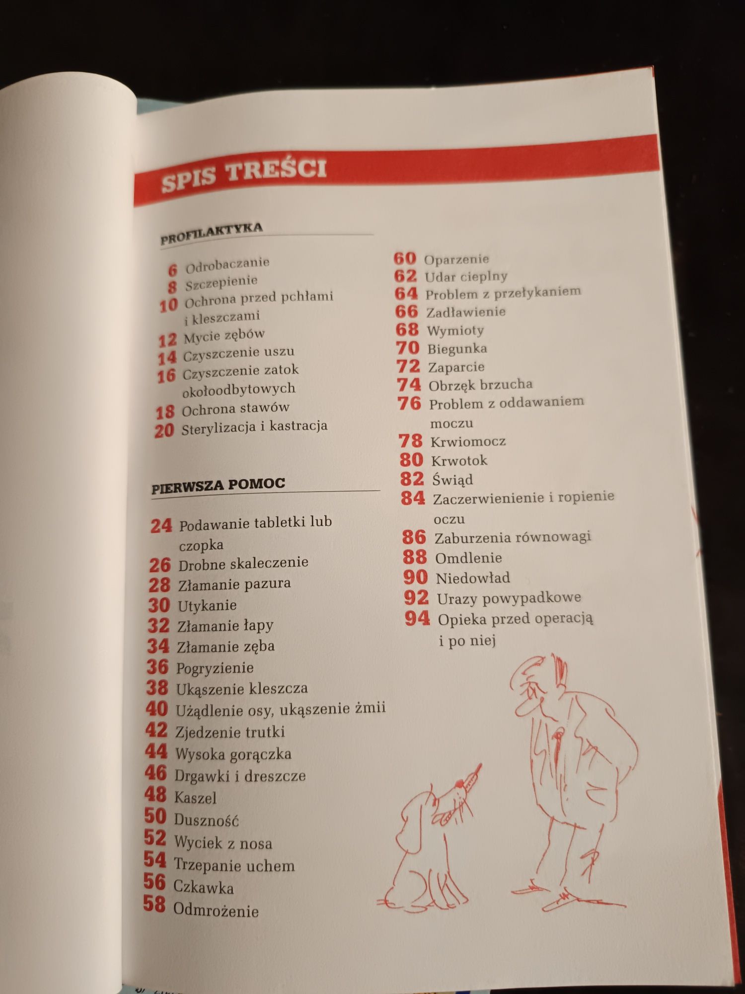 Mój pies jest zdrowy, praktyczny poradnik jak pomóc choremu psu