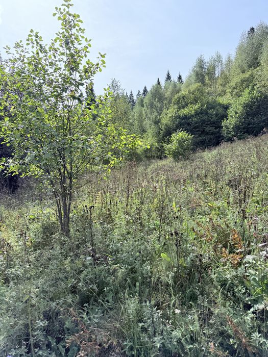 Земельна ділянка Славсько