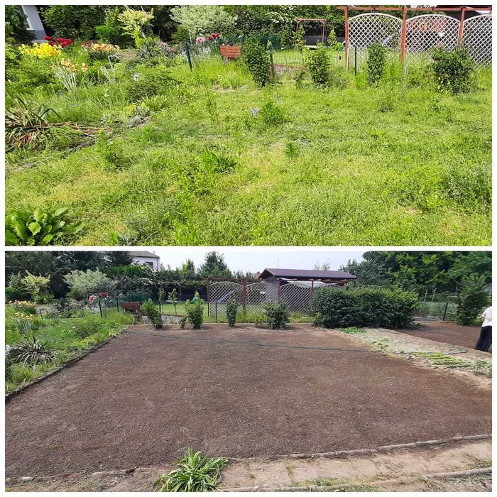 Porządkowanie ogrodów ROD Karczowanie Koszenie Wycinka Sianie Wywóz