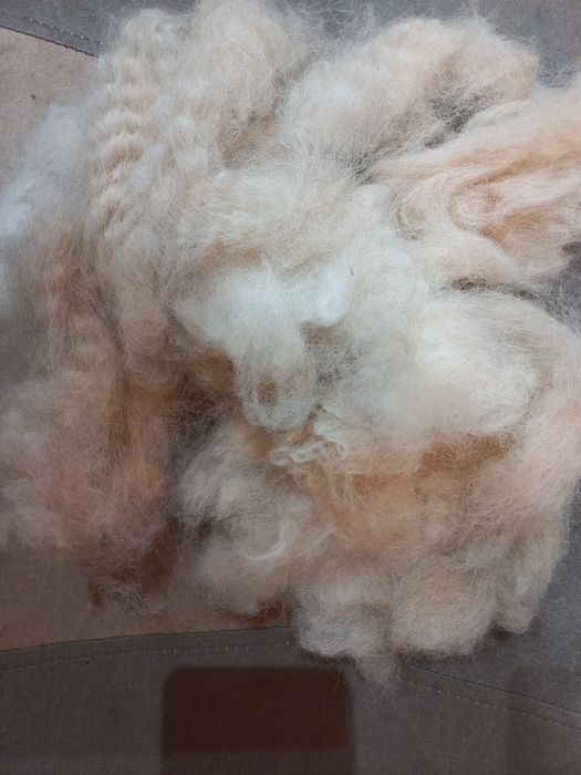 Чау-чау шерсть-підшерсток.