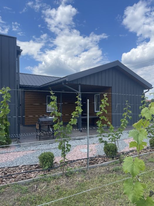 Оренда будинку! Чан! Обухівка!