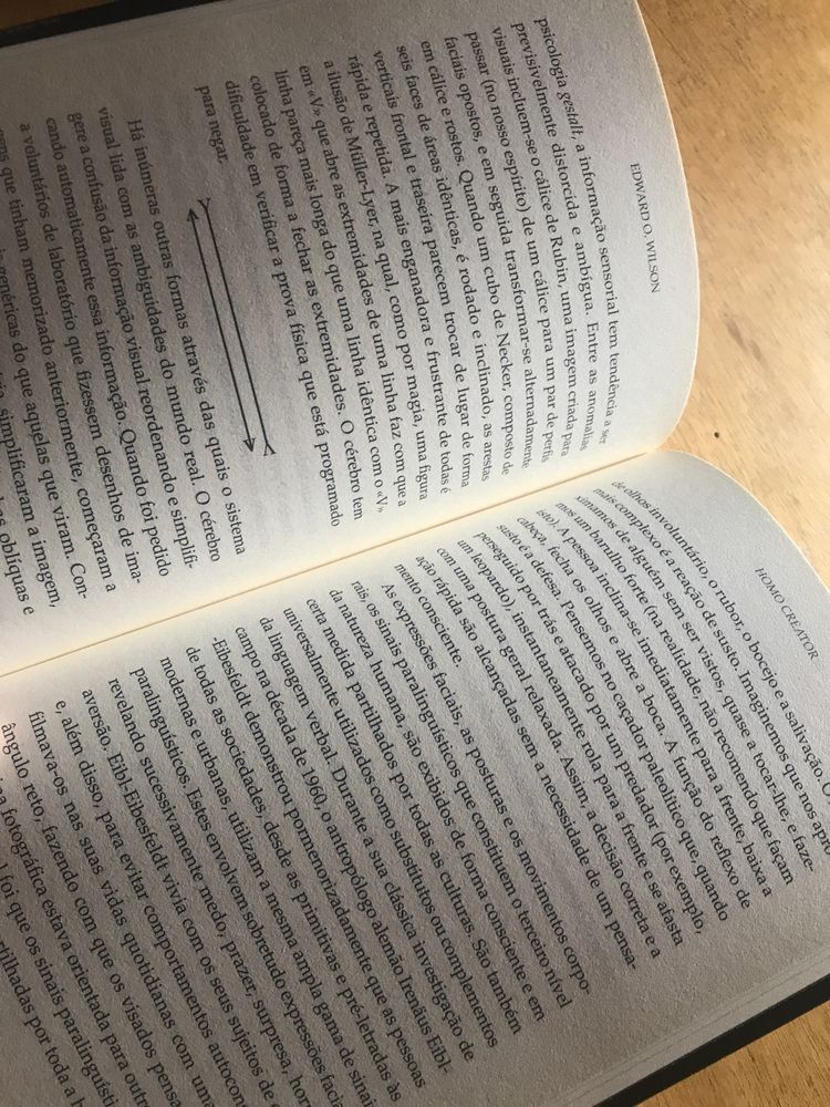 Livro “Homo Creator”