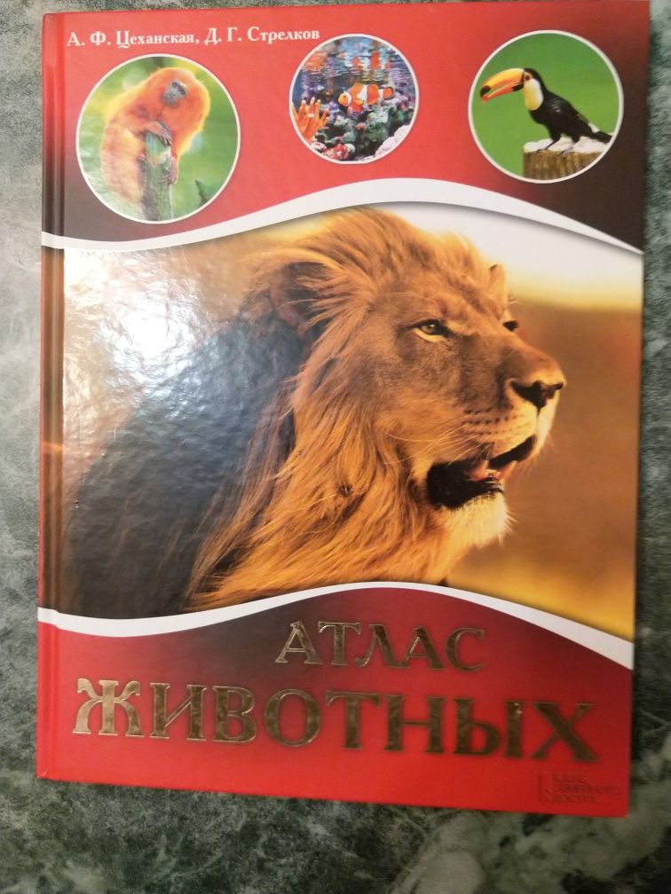 Книга Атлас животных, авторы А.Ф. Цеханская, Д. Г. Стрелков.