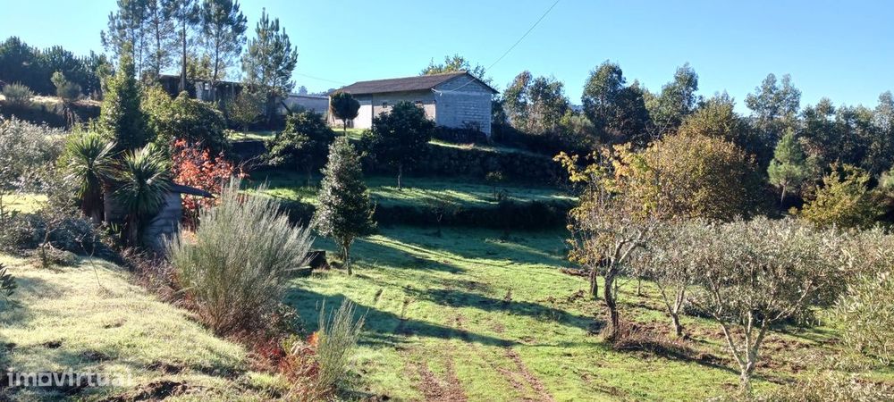 Fantástica Quinta nas Encostas do Rio Dão