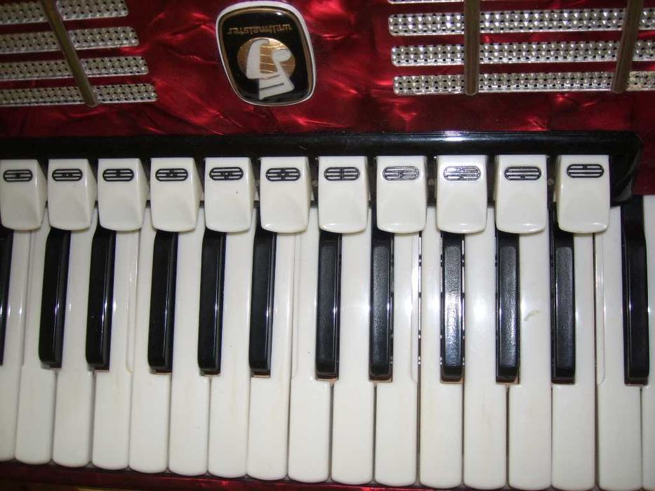 akoreon Weltmeister 4 ch. 80 basów