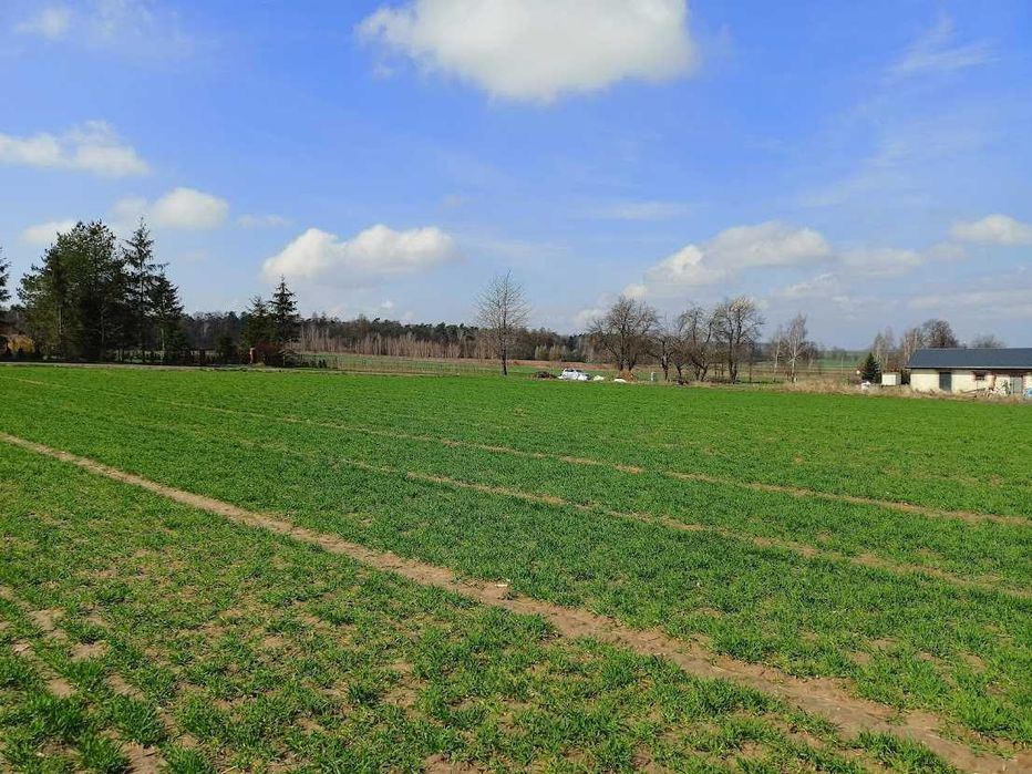 Działka siedliskowa powierzchni 14 arów położona w Jabłonnie Drugiej.